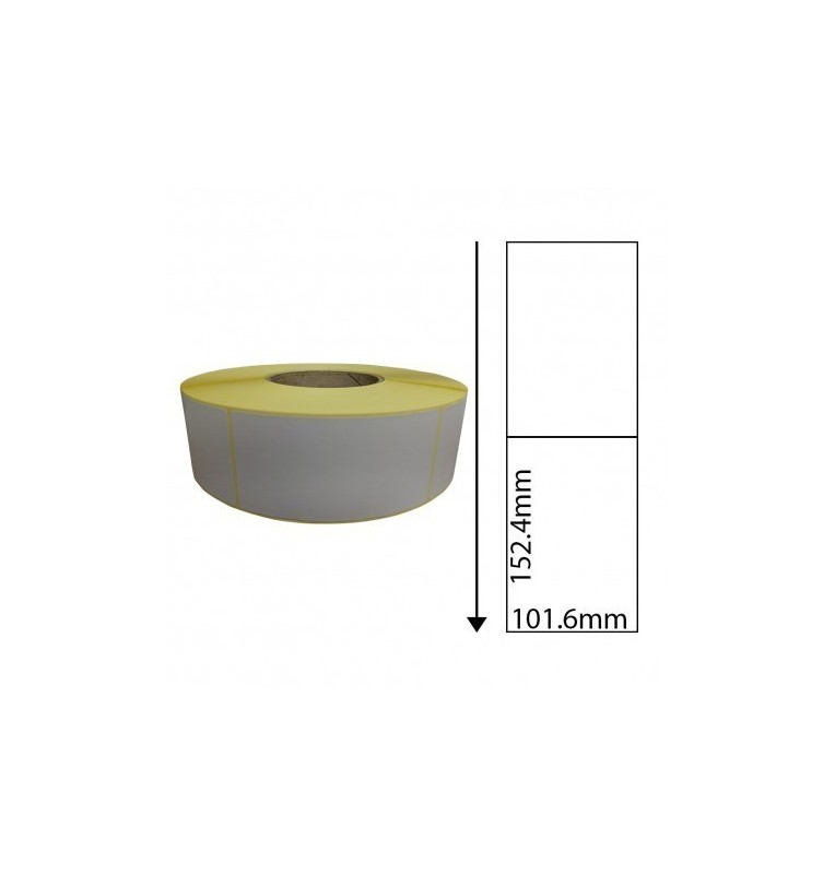 Zebra GK420t 101.6mm x 152.4mm Direct Thermal Labels